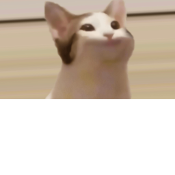 POPCAT