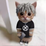 Hi I’m Alan!