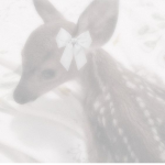 ⊹୨୧⊹ 