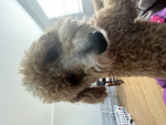 avatar ranking :))))