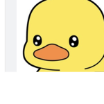 The duck hood