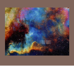 The Muffin In Outer Space