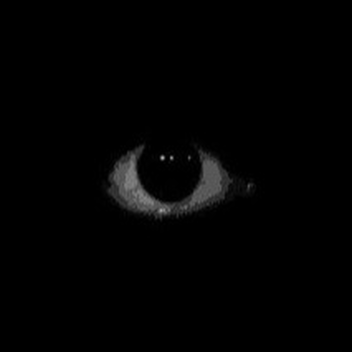the dark side [DEMO]
