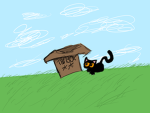 The Box **