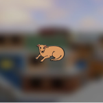 Cachorro Caramelo Roupas