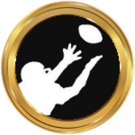 Ball Hawk