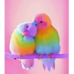 The Birdie Fam