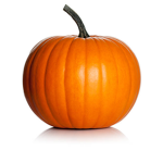 Pumpkin Group :>>