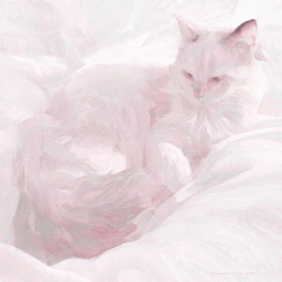 ✿