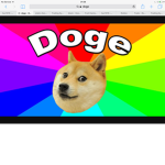 DOGE PUG DOGE!!