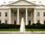 The White House Team.