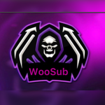 WooSub’s Youtube Group