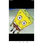 Robloxsayshihi