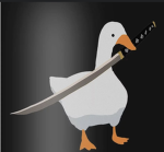 Sensei Quacks Dojo