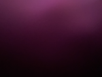 Cancer 7