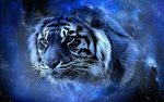 | TPMC | Tiger Private Military Corps