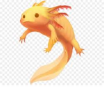 Axolotl :P :/