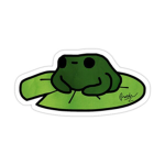 |•|Aesthetic frogs|•|