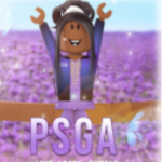 PSGA-platinum stars, gymnastics academy