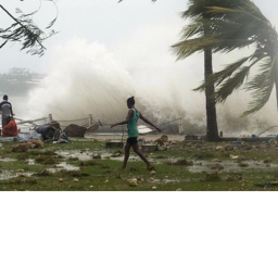 Natural Disaster Survival!