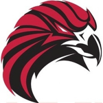 Gainesville Falcons Football {TFL}