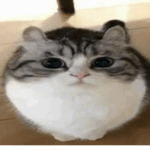 LeKat