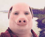 PorkJohn