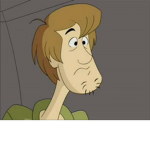Shaggy Snacks