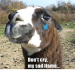 Llama's Group