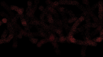 Camdygrams helpers