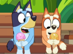 Bluey Group!!!
