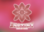 DREAM STAR FIGHTING DESTINY
