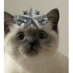 The Robloxian Corps {TRM}