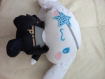 姉と兄