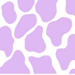 maisies clothes shop