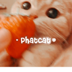 phatcat
