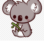 Koala’s group
