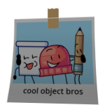 Cool Object Bros Picture