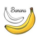 .bananas are cool.