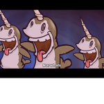 The team narwhal