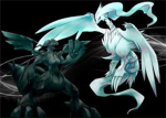 Poke-News