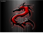darkdragonclan