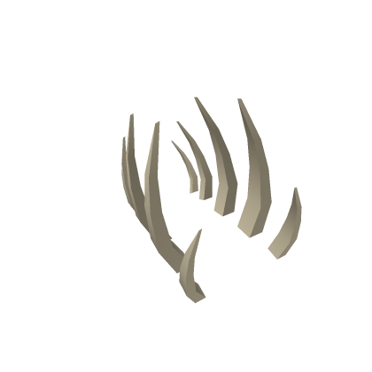 Ribs