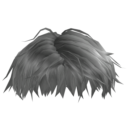 Raul Nevou Messy Hair
