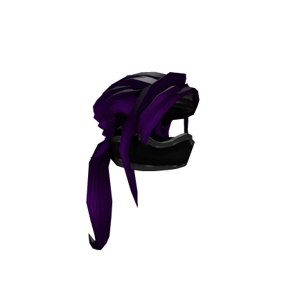 Ninja with Pony Tail