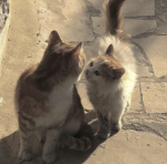 :> 좋아