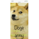 Doge group very wow official army