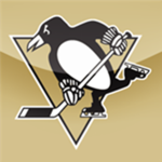 The NHL Penguins