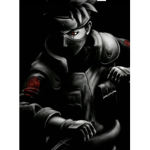 Ninja masters elements