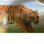 Team Tiger (The Sufferance Militiamen’)